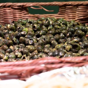 Bigorneaux cuits