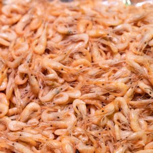 Crevettes blanches